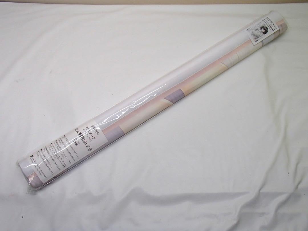 Amazon.co.jp: AMBITIOUS MISSION 特典 B2タペストリー 石川弥栄 : Hobbies